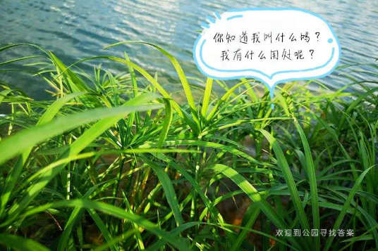 5f1dcee2dedfa.png 22.png