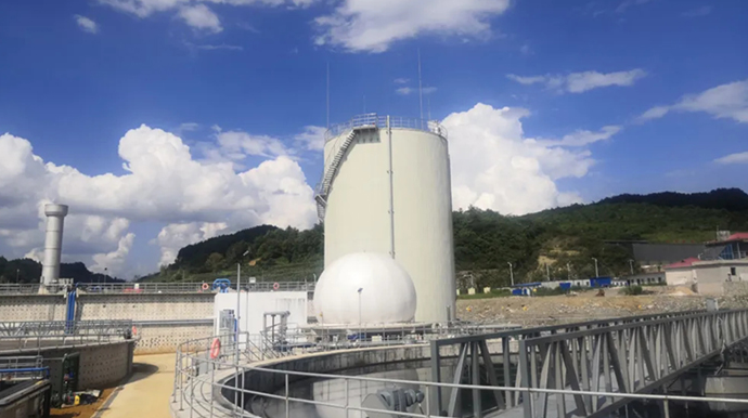 6200824e8968a.png 1.png